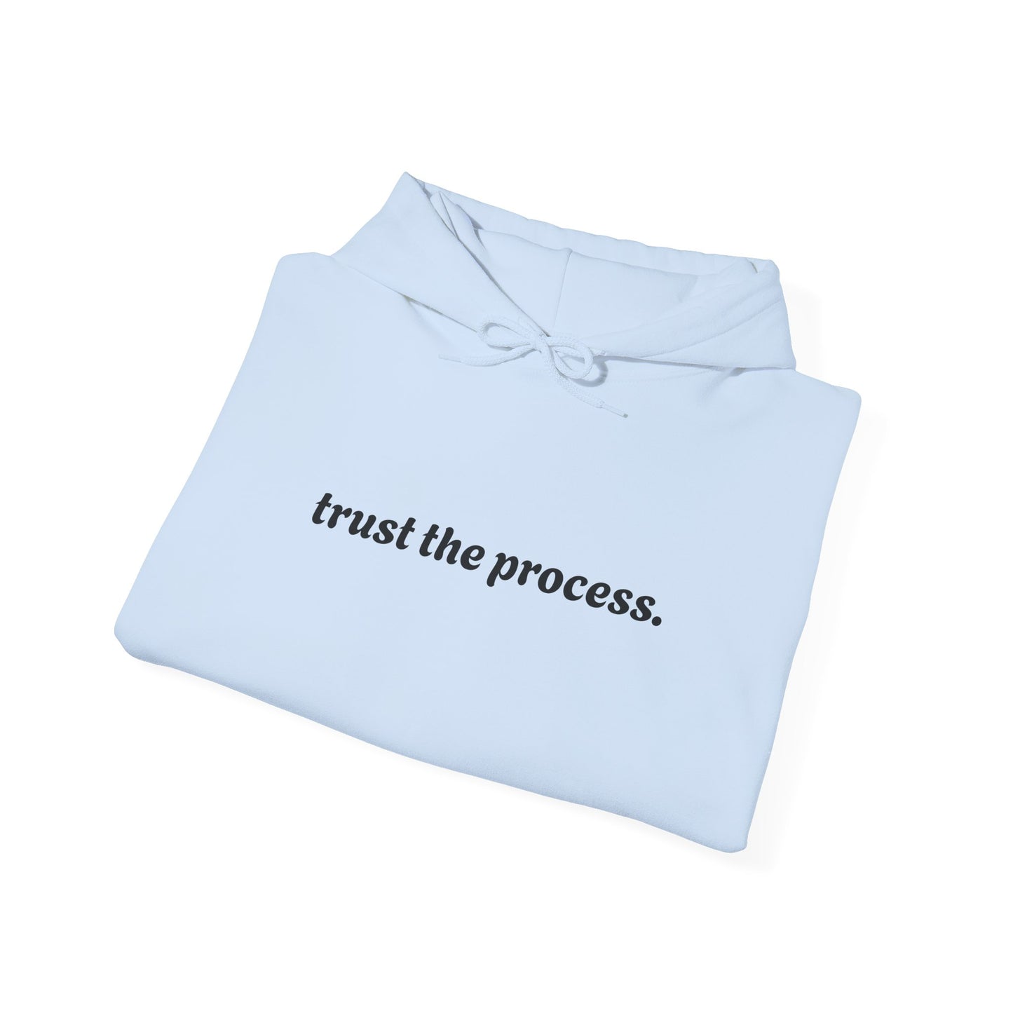 trust the process. Unisex Heavy Blend™ Hooded Sweatshirt